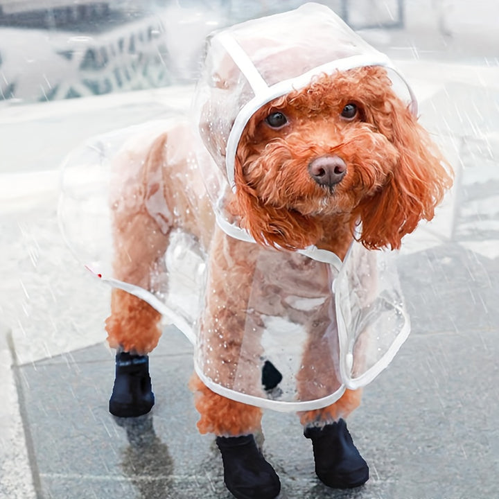 Clear Pet Dog Raincoat, Hooded Rain Jacket, Waterproof Clothes, Snap Button, Small Breed