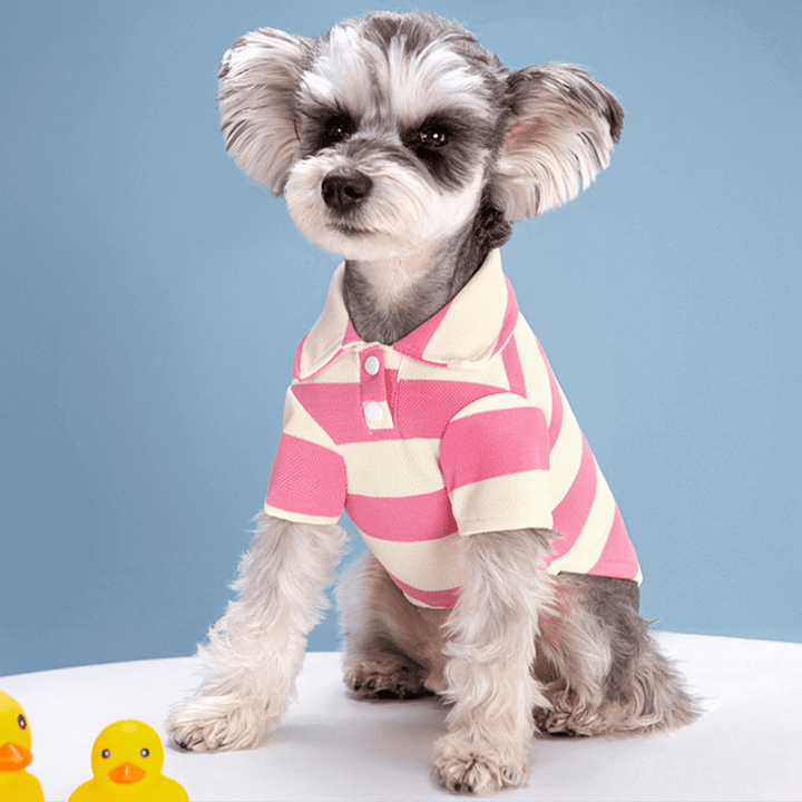 Summer Stripe Dog Tee Shirt - Lightweight & Breathable - Small/Medium Breeds - Snap Button Closure