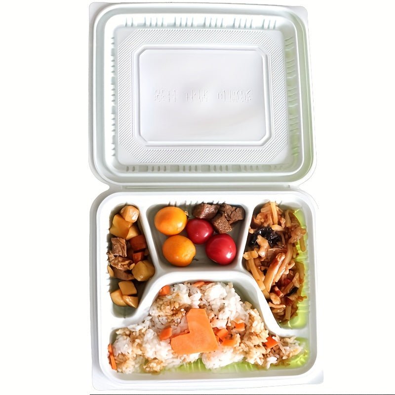 Square-Shaped Disposable Lunch Box - Perfect for Takeout!