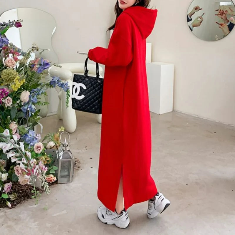 Cozy Korean Fleece Hooded Dress - Winter Fashion for Women