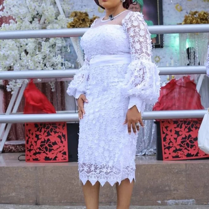 High-End Plus Size Lace Embroidered Evening Dress