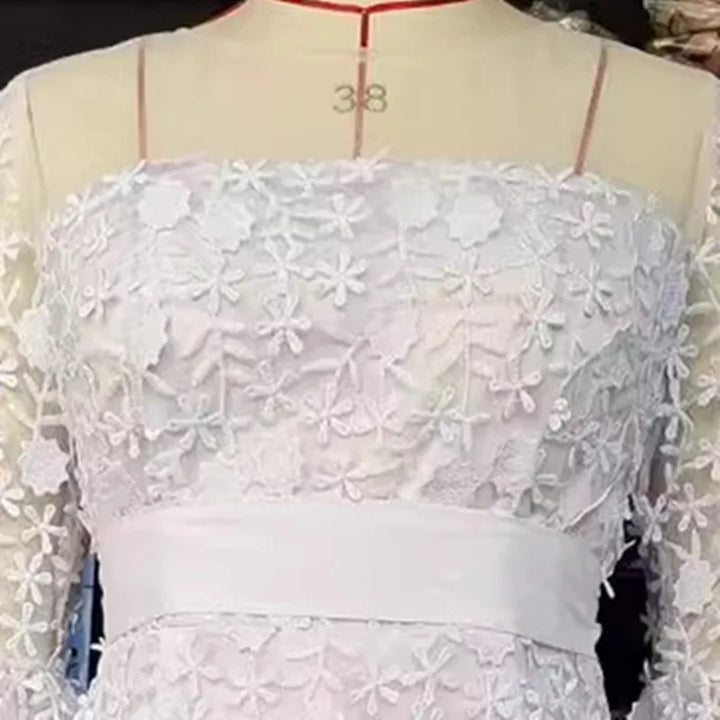 High-End Plus Size Lace Embroidered Evening Dress