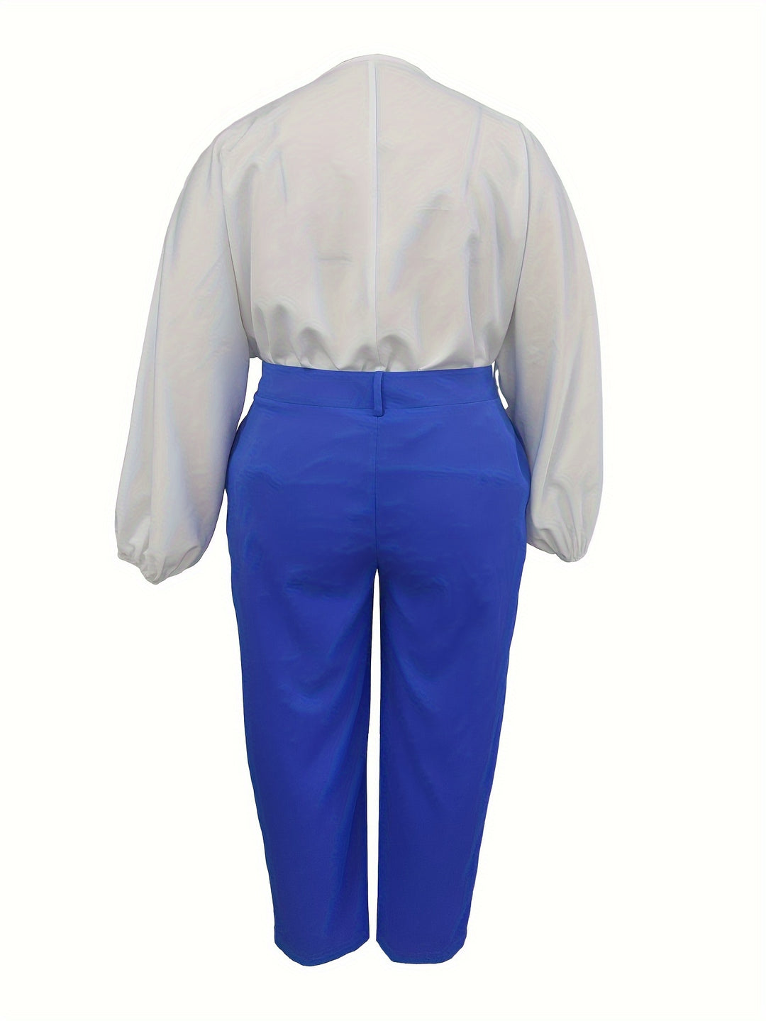 Plus Size Colorblock Two-piece Set, V Neck Button Front Long Sleeve Top & Pleated Pants Outfits, Women's Plus Size Clothing